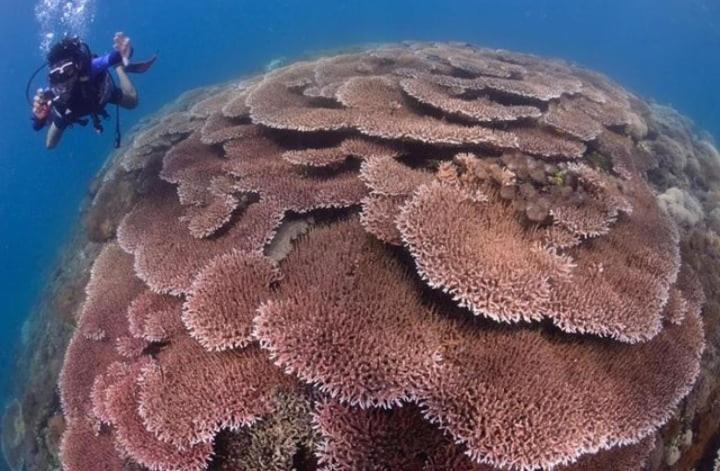 Sapak Bungalow Selong Belanak Luaran gambar